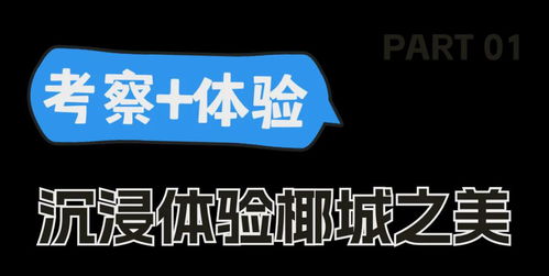2024年“請(qǐng)進(jìn)來(lái)”海口暑期旅游產(chǎn)品推介活動(dòng)圓滿(mǎn)落幕，助力暑期旅游信息精準(zhǔn)觸達(dá)