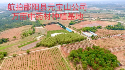 中醫(yī)藥產(chǎn)業(yè)鏈高質(zhì)量發(fā)展與文旅融合 聚焦上饒市新規(guī)與旅游信息服務(wù)